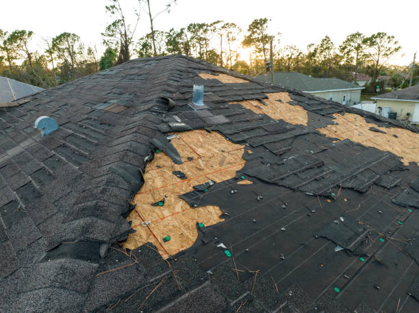 Best Roof Ventilation Installation  in Arnaudville, LA